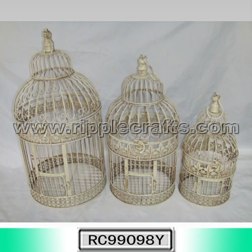 Outdoor Living--RC99098Y